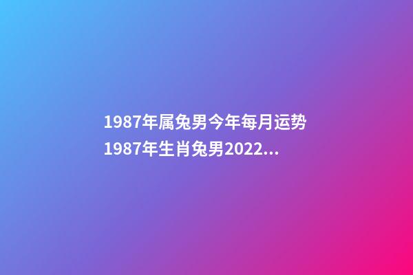 1987年属兔男今年每月运势 1987年生肖兔男2022年运势-第1张-观点-玄机派